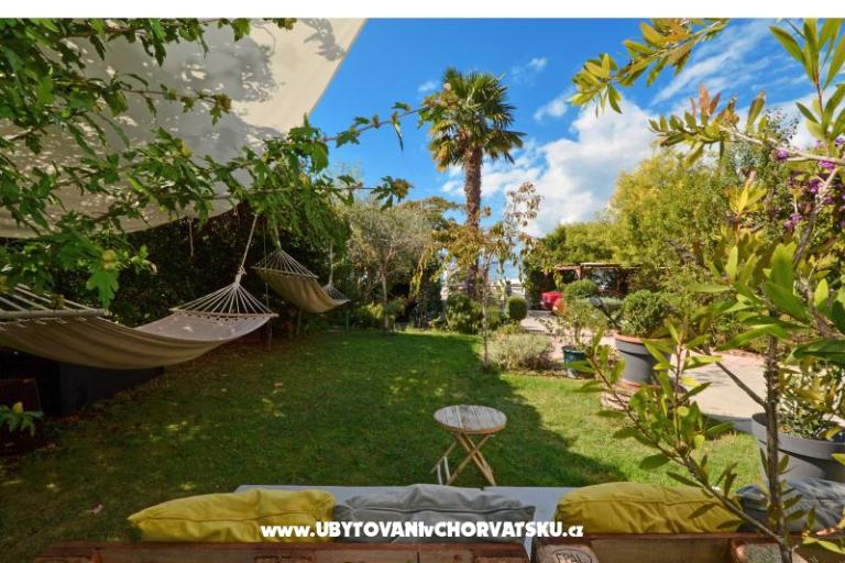 Tudija – photo 13