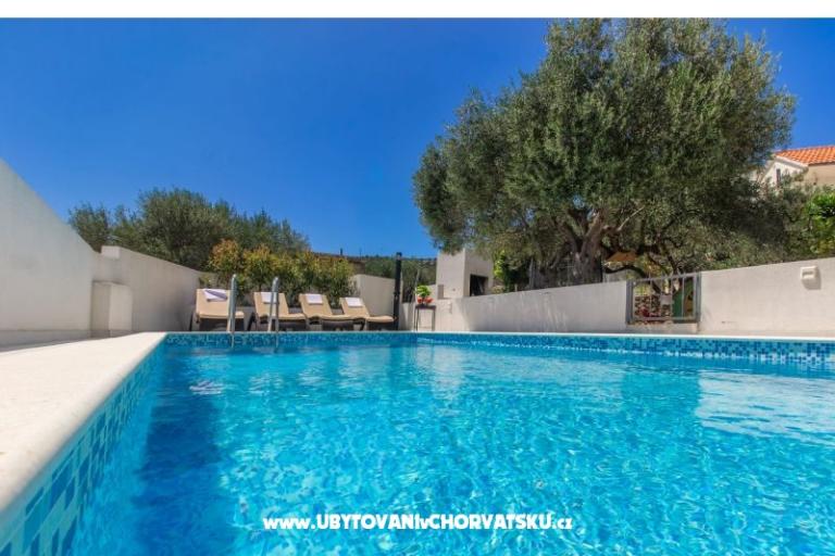 Villa Dalmatian Child – photo 12