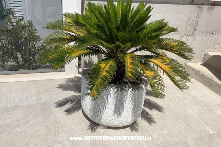 Villa Fabian – photo 11