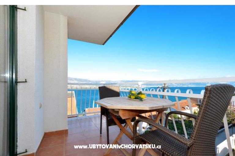 Vongola – photo 10