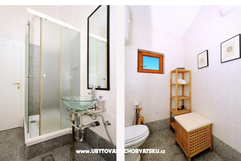 Vongola – photo 14