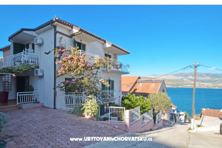 Vongola – photo 16