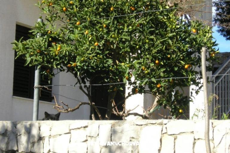 Zele Apartments – photo 7