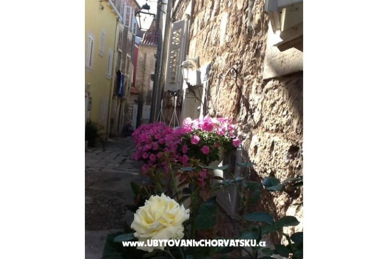 Dragicevic apartments – photo 18