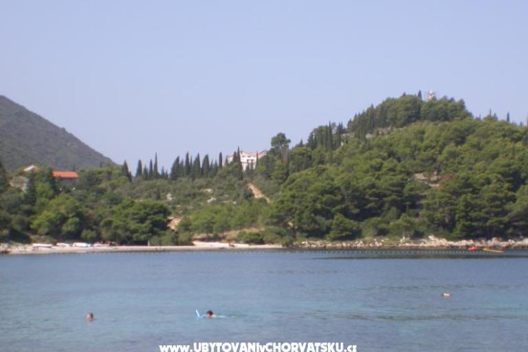 Apartments Pelješac Trpanj – photo 2