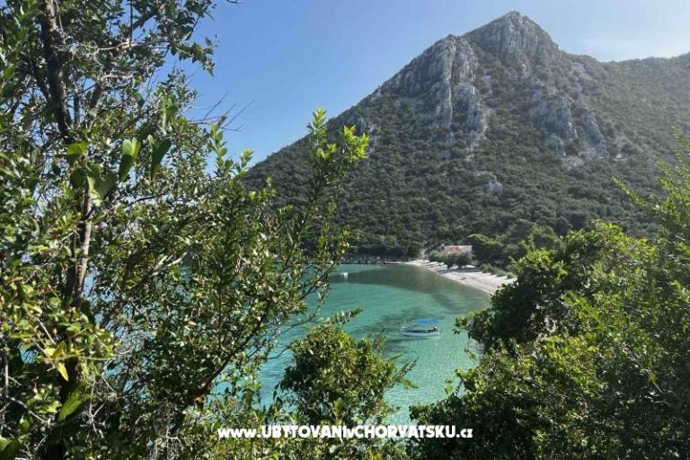 Vila Nautilus luxury Apartments – photo 9