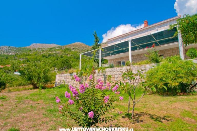 Villa Boskovic – photo 2