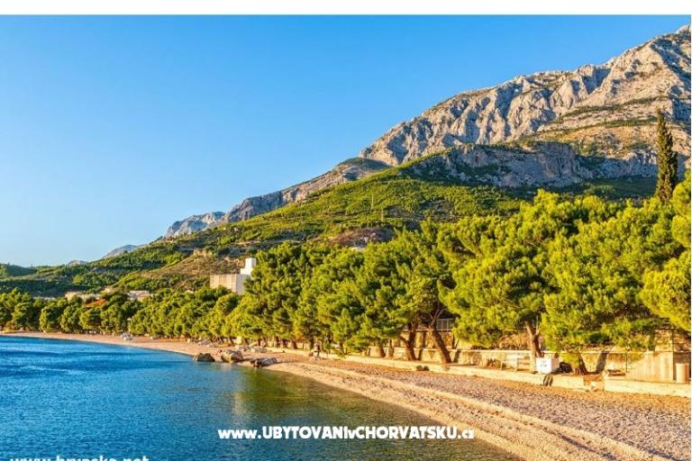 Apartments Amarilis – photo 17