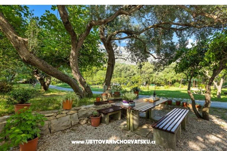 Apartments Balić – photo 8