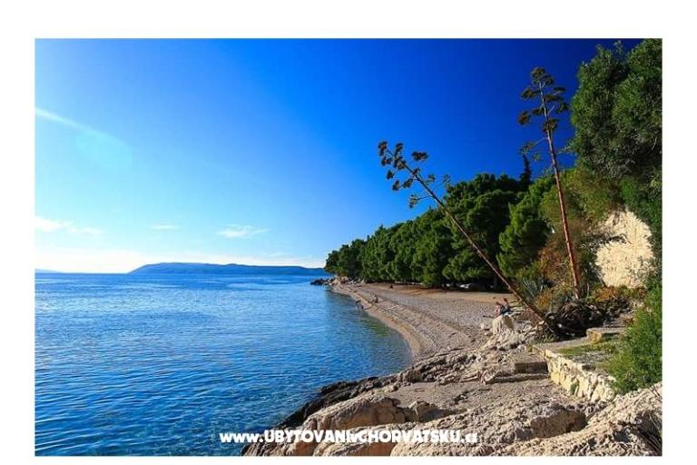 Apartments Stone  Tučepi  – photo 16