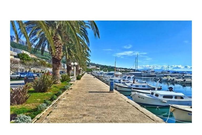 Apartments Stone  Tučepi  – photo 18