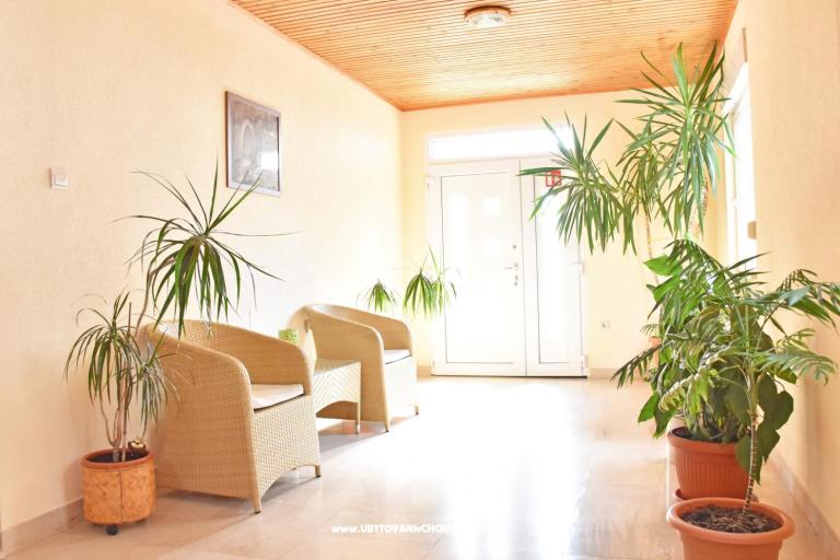 Apartments Stone  Tučepi  – photo 8