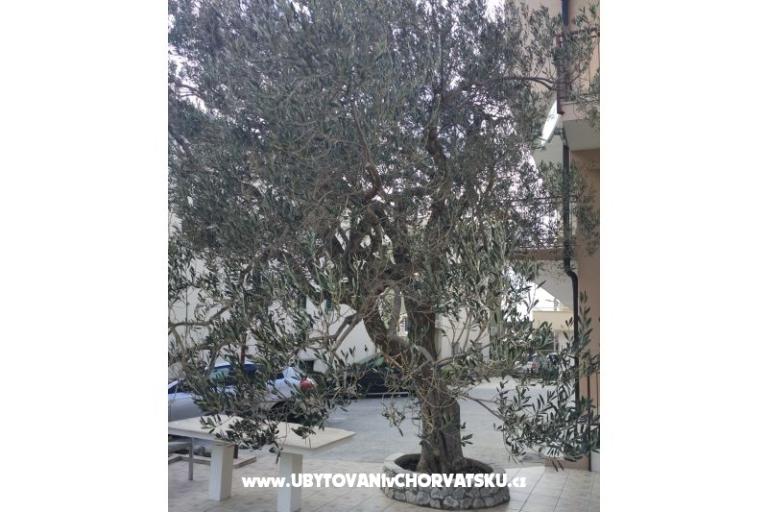 Apartments Mena – photo 4