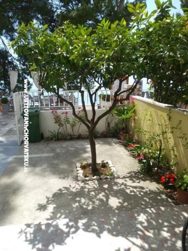 Apartments Mija – photo 10
