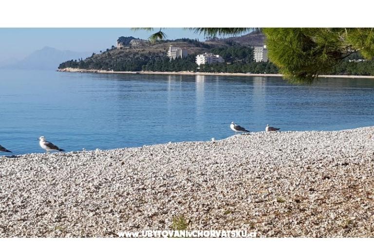 Apartments IKO - Tučepi – photo 10