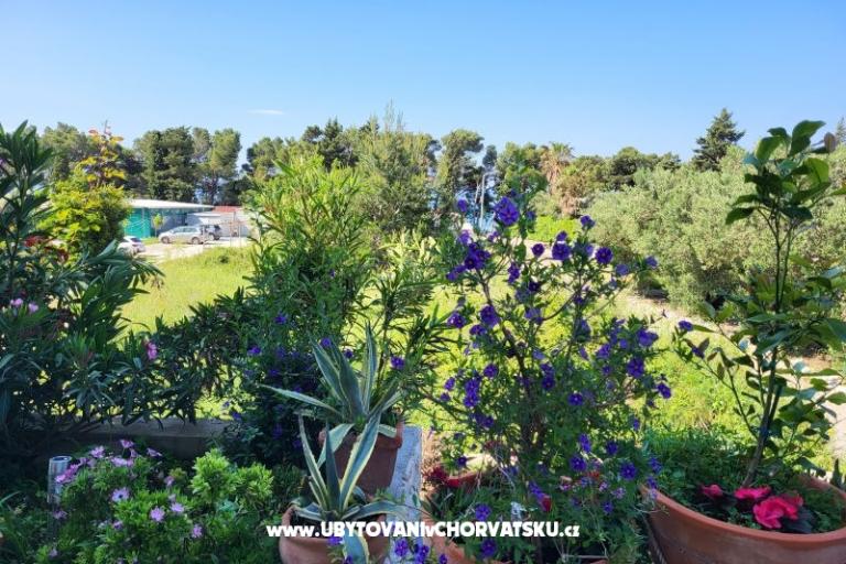 Apartments IKO - Tučepi – photo 20