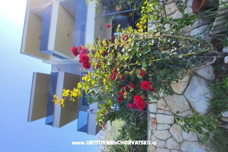 Apartments IKO - Tučepi – photo 21