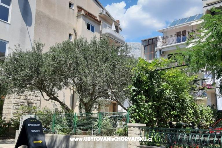 Apartments JD – photo 3