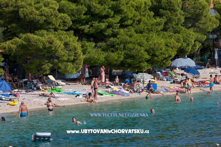 Apartments Ozrenka – photo 3