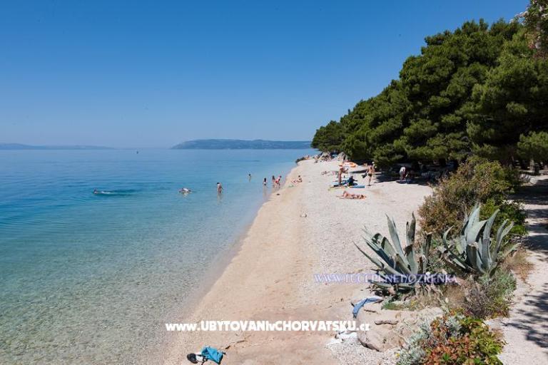 Apartments Ozrenka – photo 4