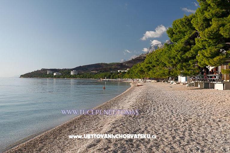 Apartments Tonći Tomaš – photo 4