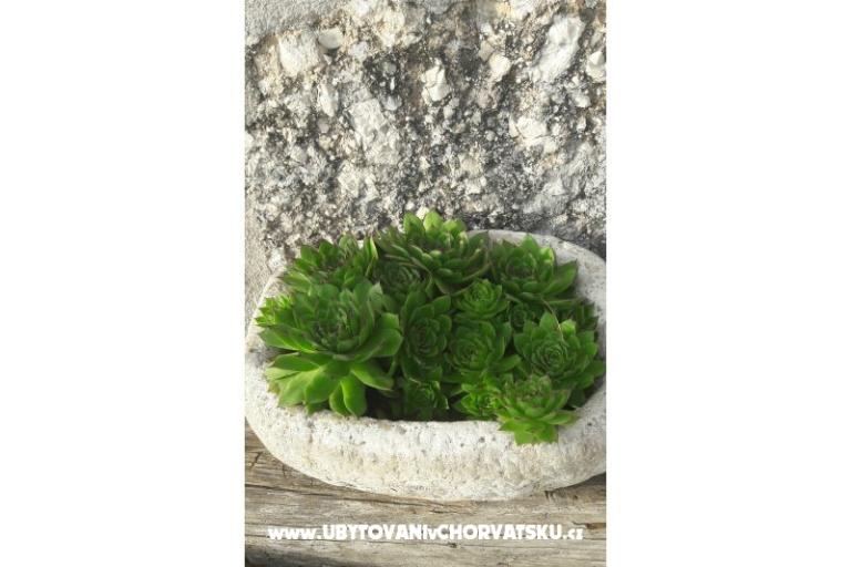 App Buco &amp; Mare – photo 14