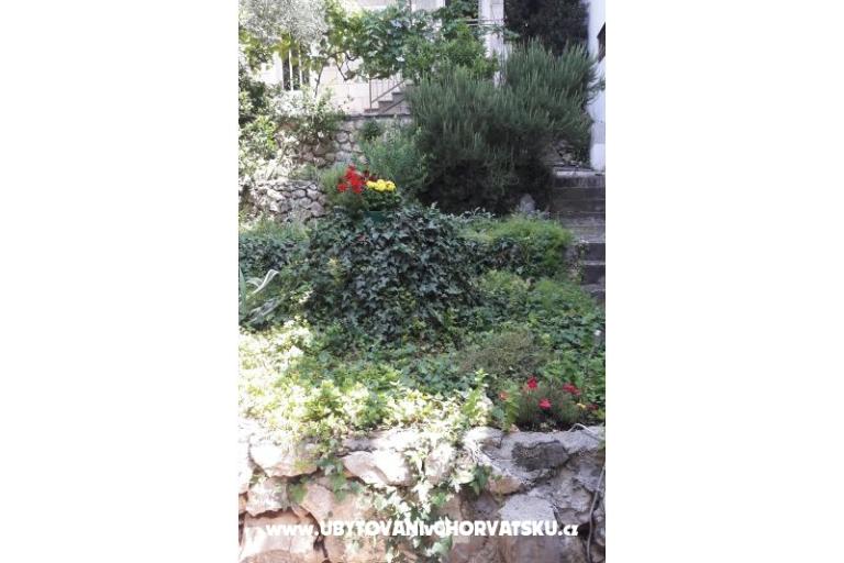 App Buco &amp; Mare – photo 17