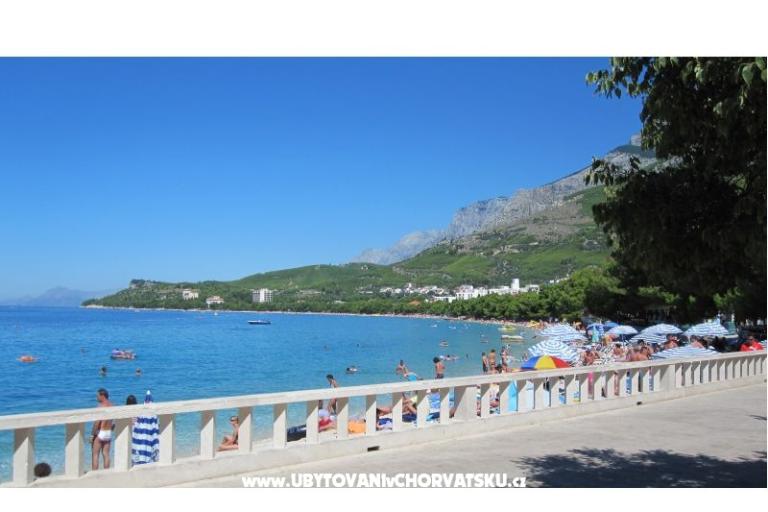 Vila Hermina – photo 17