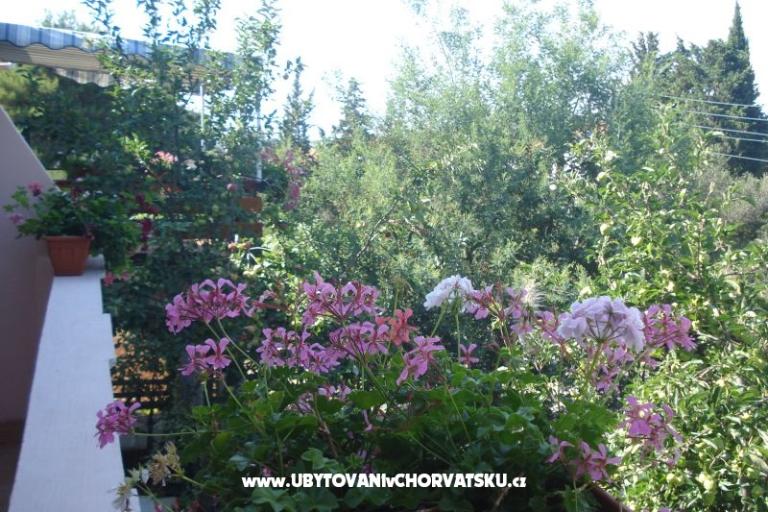 Apartments Branko Vidaković – photo 8