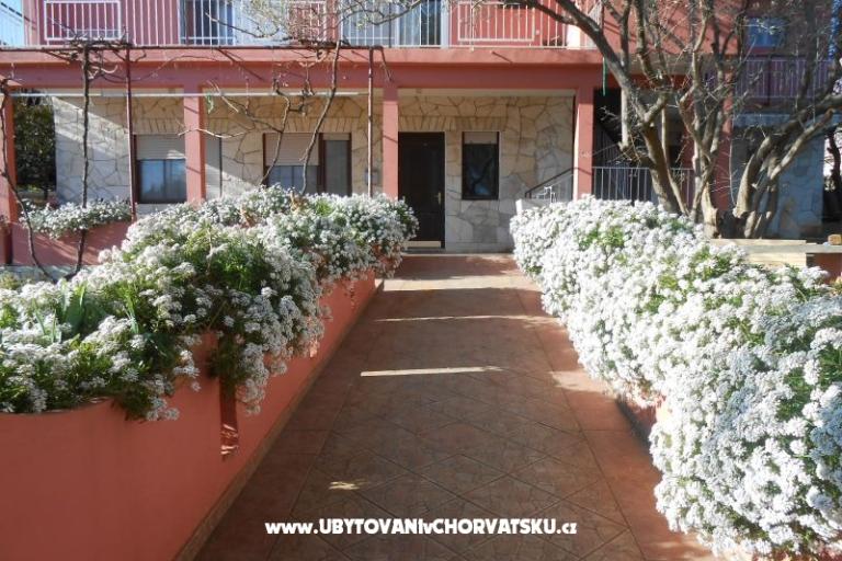 Apartments Budi – photo 2