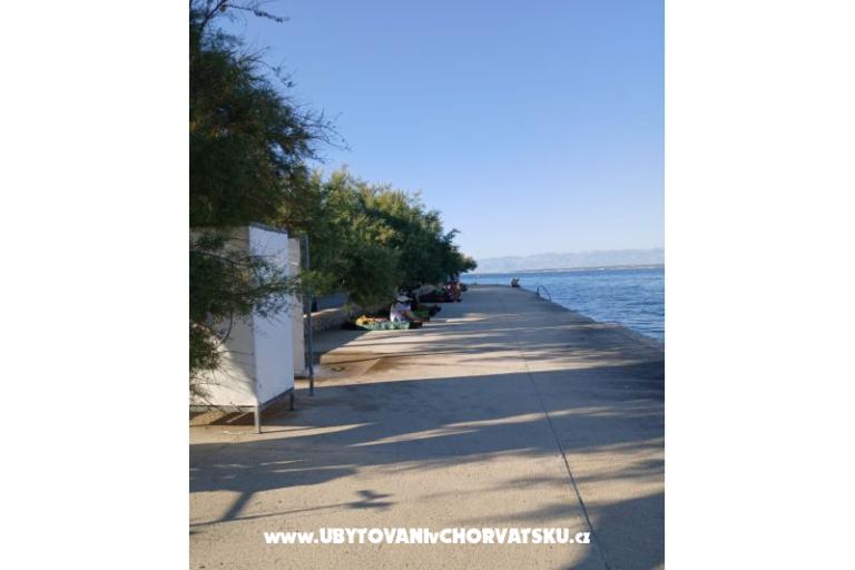 Apartments Galius Ugljan – photo 20