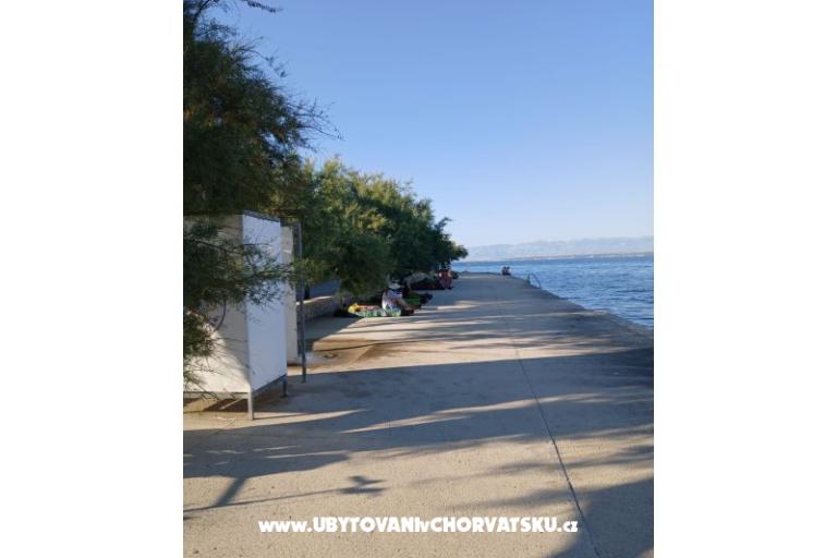 Apartments Galius Ugljan – photo 5
