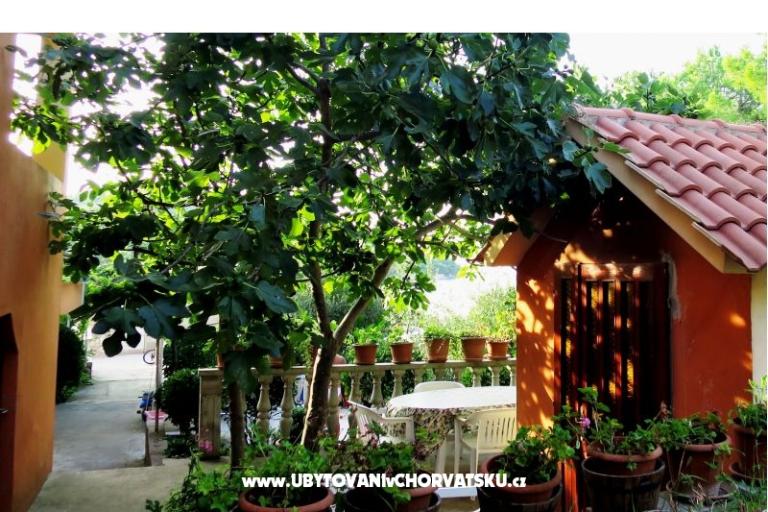 Apartments Tereza – photo 4