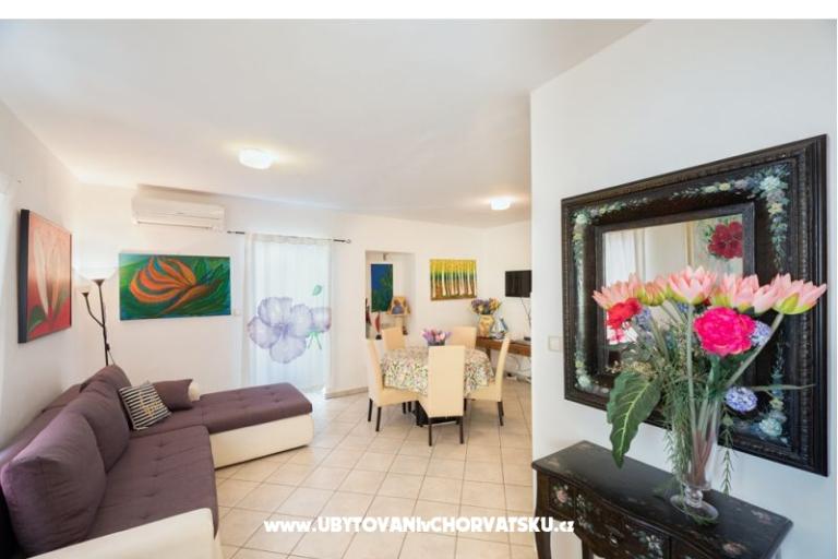 Apartments Ferina Ugljan – photo 11