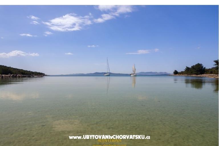 Apartments Ferina Ugljan – photo 40