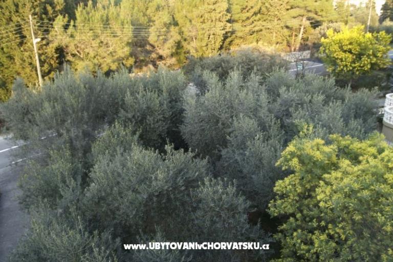 Apartments Mrva – photo 12