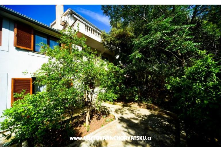 Apartments Mrva – photo 6