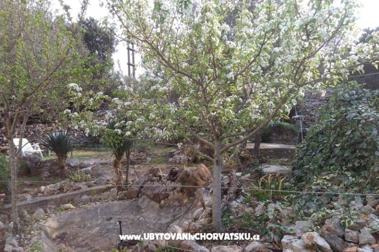 Vacation house Ivan – photo 10