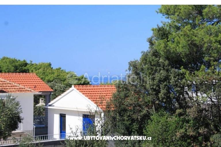 Apartments Mirjana – photo 15