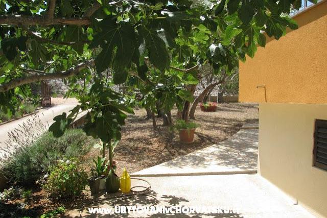 Villa Tesna – photo 14