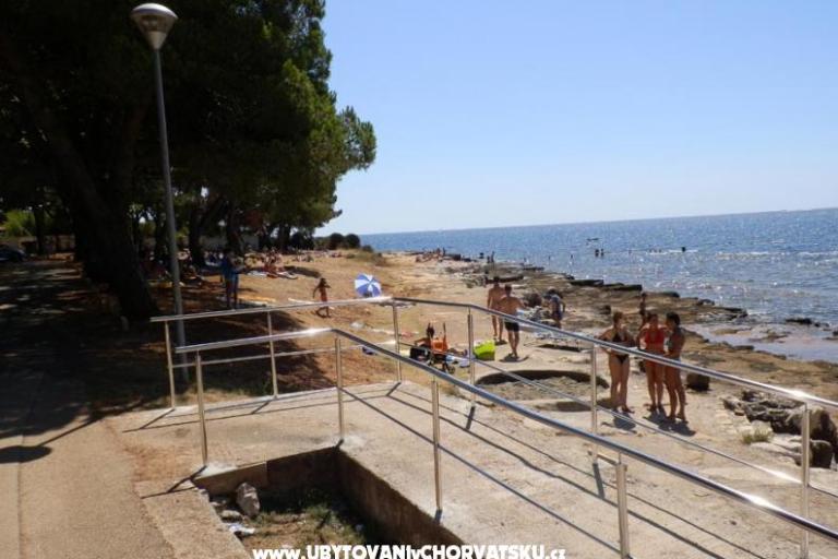 Apartment Pino Josip – photo 6