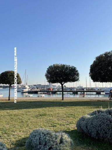Apartments Maris  – photo 5