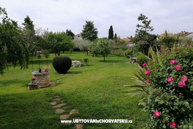 Apartments Jana – photo 2