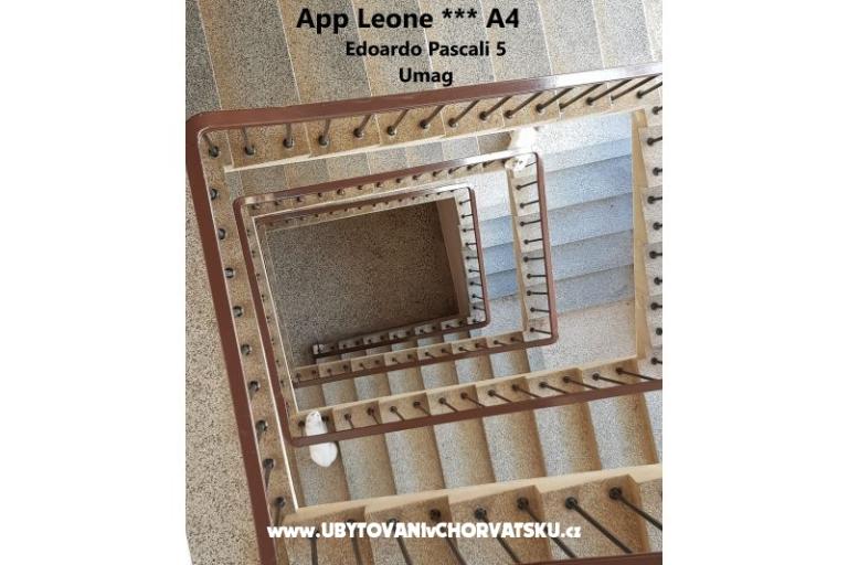 App Leone – photo 17