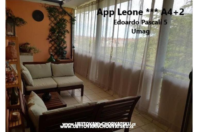 App Leone – photo 9