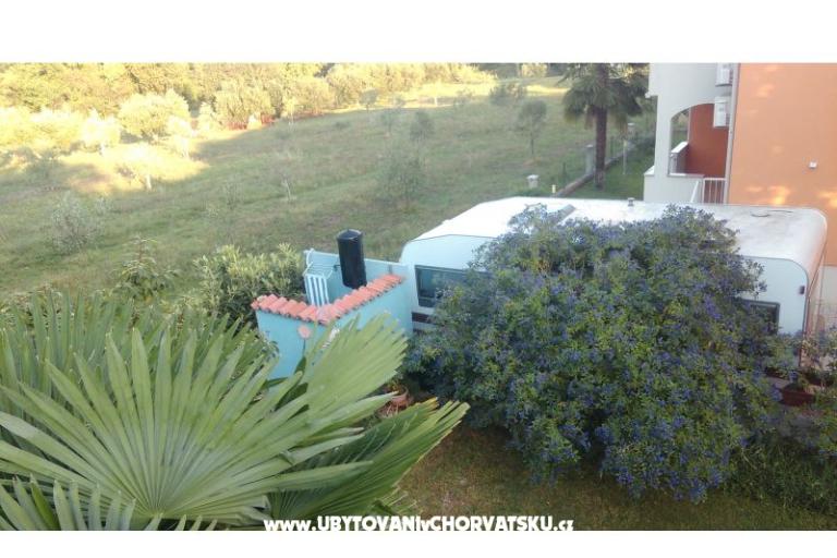 Laureta Umag – photo 2