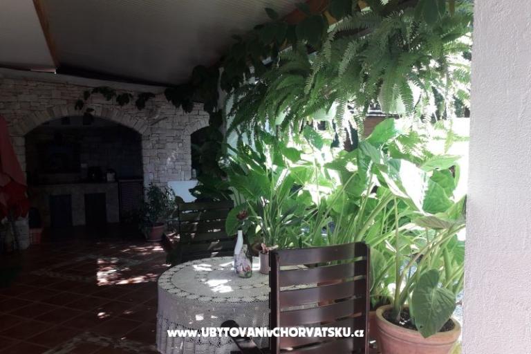 Laureta Umag – photo 6