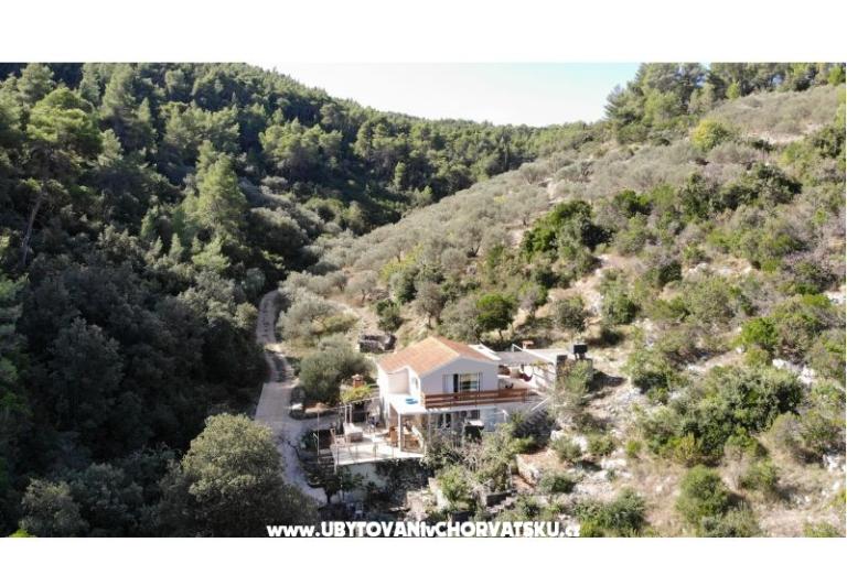 Tina's house  – photo 22