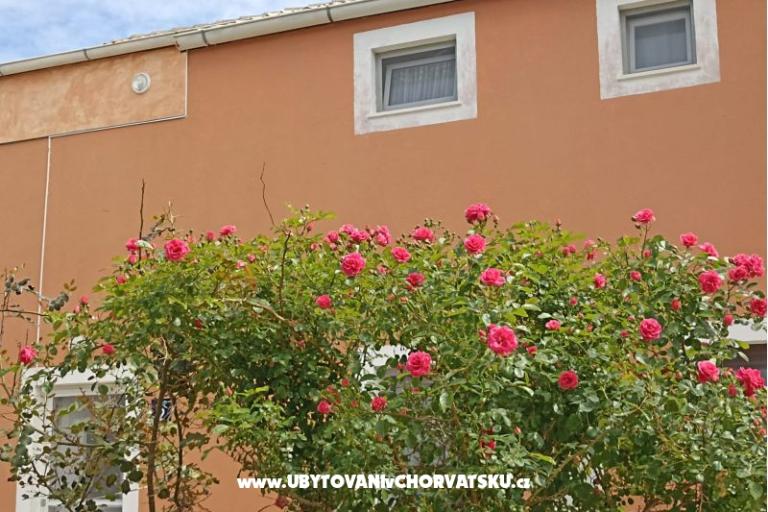 App Bonić – photo 100