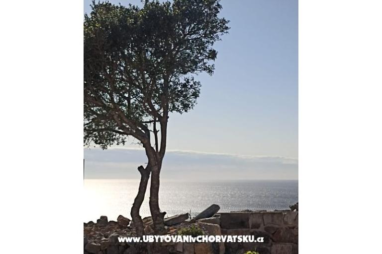 App Bonić – photo 101